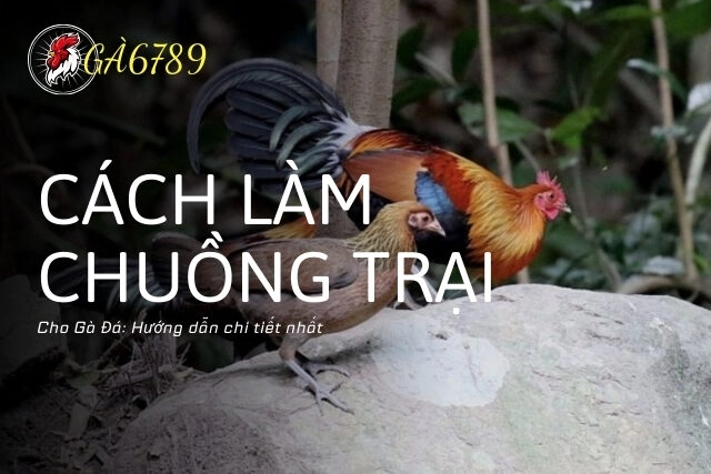 cách làm chuồng trại cho gà đá