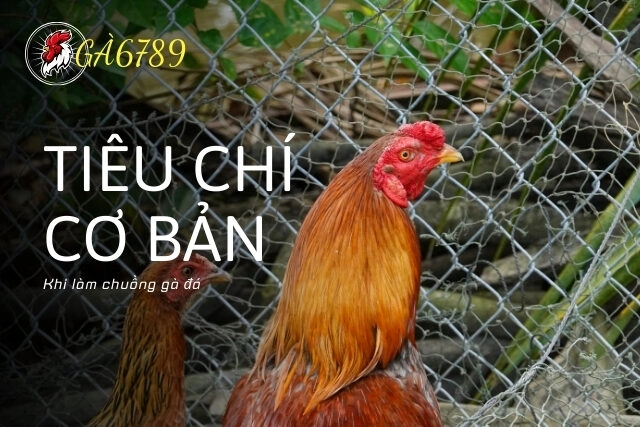 Tiêu chí cơ bản khi làm chuồng gà đá