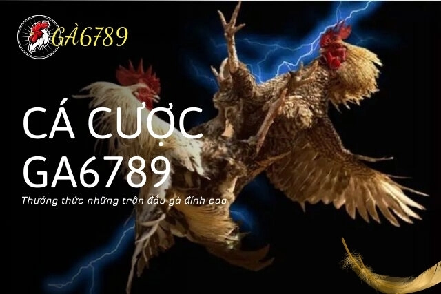 Thưởng thức những trận đấu gà đỉnh cao tại Ga6789